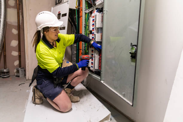 Best Electric Panel Repair  in Mathews, LA